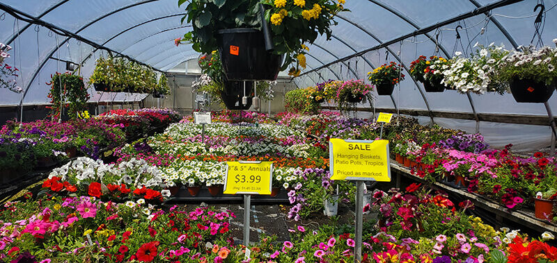 GardenCenter-Greenhouses_7-2022_8.jpg
